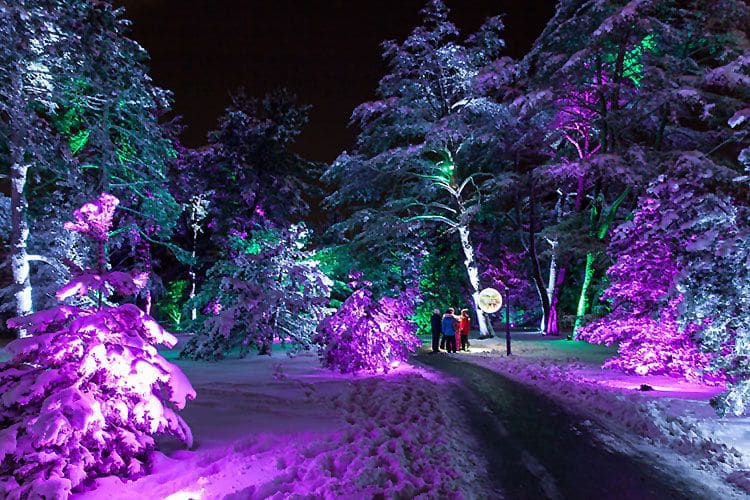 HOW SEASONAL EVENT ‘ILLUMINATION’ ADDS VALUE TO THE MORTON ARBORETUM 