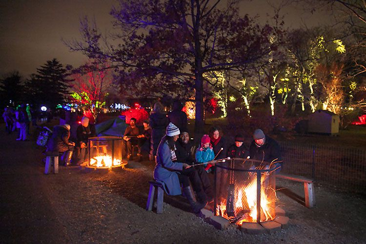 HOW SEASONAL EVENT ‘ILLUMINATION’ ADDS VALUE TO THE MORTON ARBORETUM 