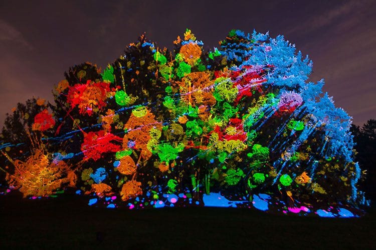 HOW SEASONAL EVENT ‘ILLUMINATION’ ADDS VALUE TO THE MORTON ARBORETUM 